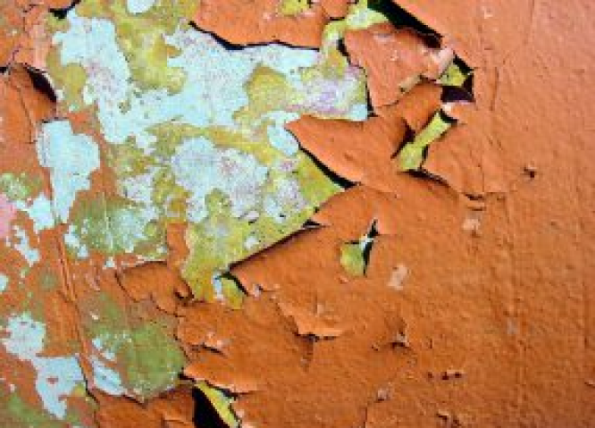 Lead Paint Hazards
